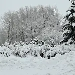 Panorama-czarna Gora *