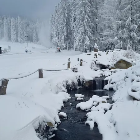 Apartment Aparthotel Panorama-Czarna Gora Resort