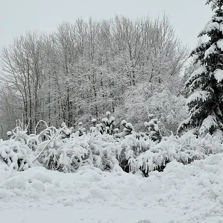Aparthotel Panorama-Czarna Gora Resort *