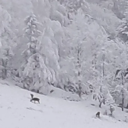 Aparthotel Panorama-Czarna Gora Resort Apartment