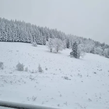 Apartment Aparthotel Panorama-Czarna Gora Resort Heudorf