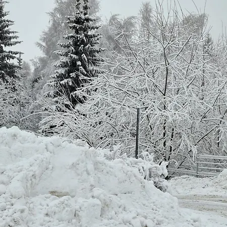 Apartment Aparthotel Panorama-Czarna Gora Resort *