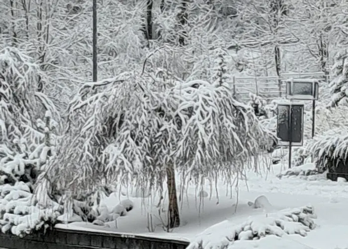 Panorama-czarna Gora *