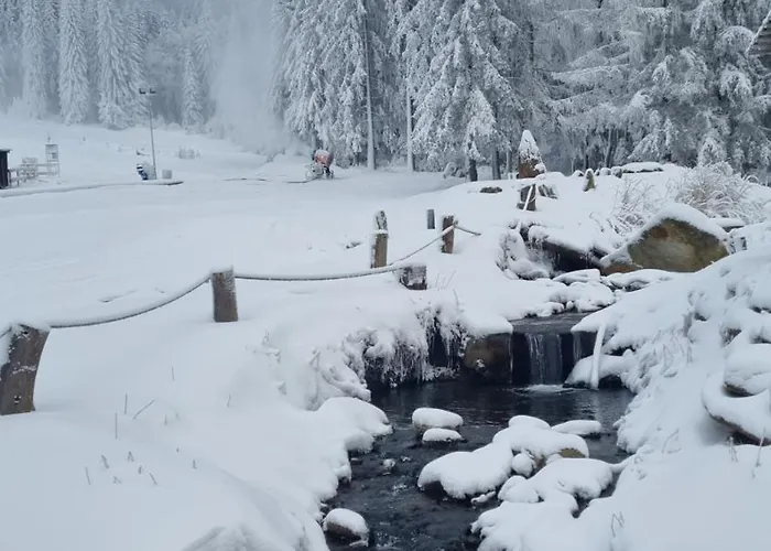 Apartment Panorama-czarna Gora