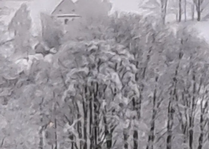 Panorama-czarna Gora Apartment *