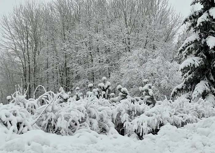 Panorama-czarna Gora *