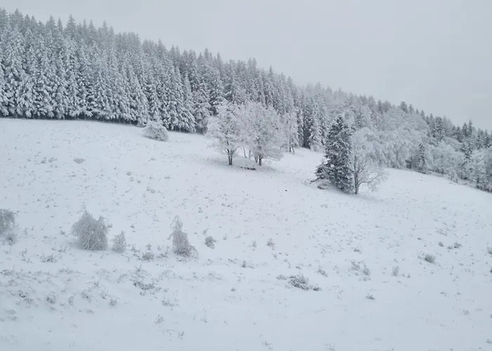 Apartment Panorama-czarna Gora Sienna (Klodzko)