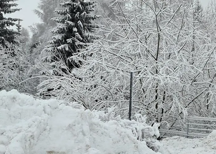 Apartment Panorama-czarna Gora *